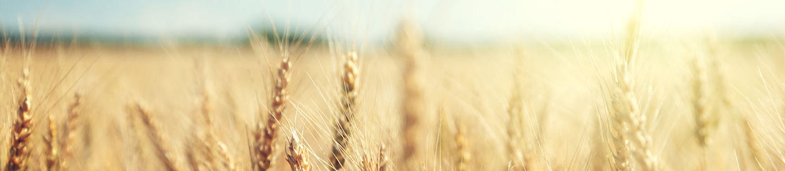 hd-casa-tarradellas-trabaja-con-nosotros